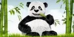 tinypng.com サムネイル